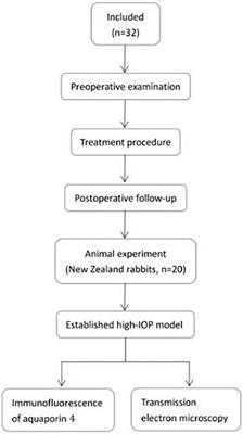 Ultrasound cyclo-plasty for moderate glaucoma: Eighteen-month results from a prospective study